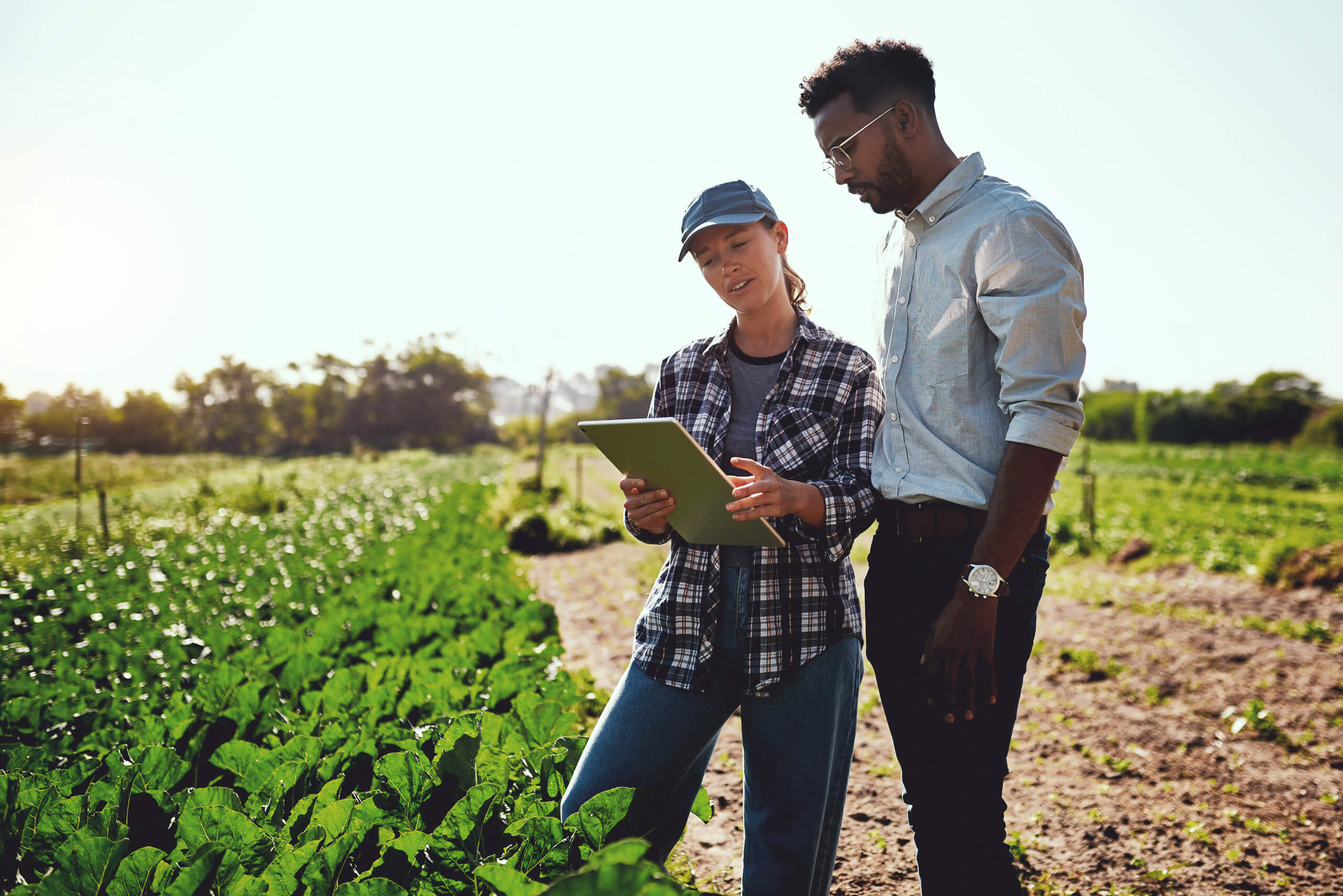 Two farmers reviewing crop notes together in a Georgia field, representing AgriUnity's community of growers.