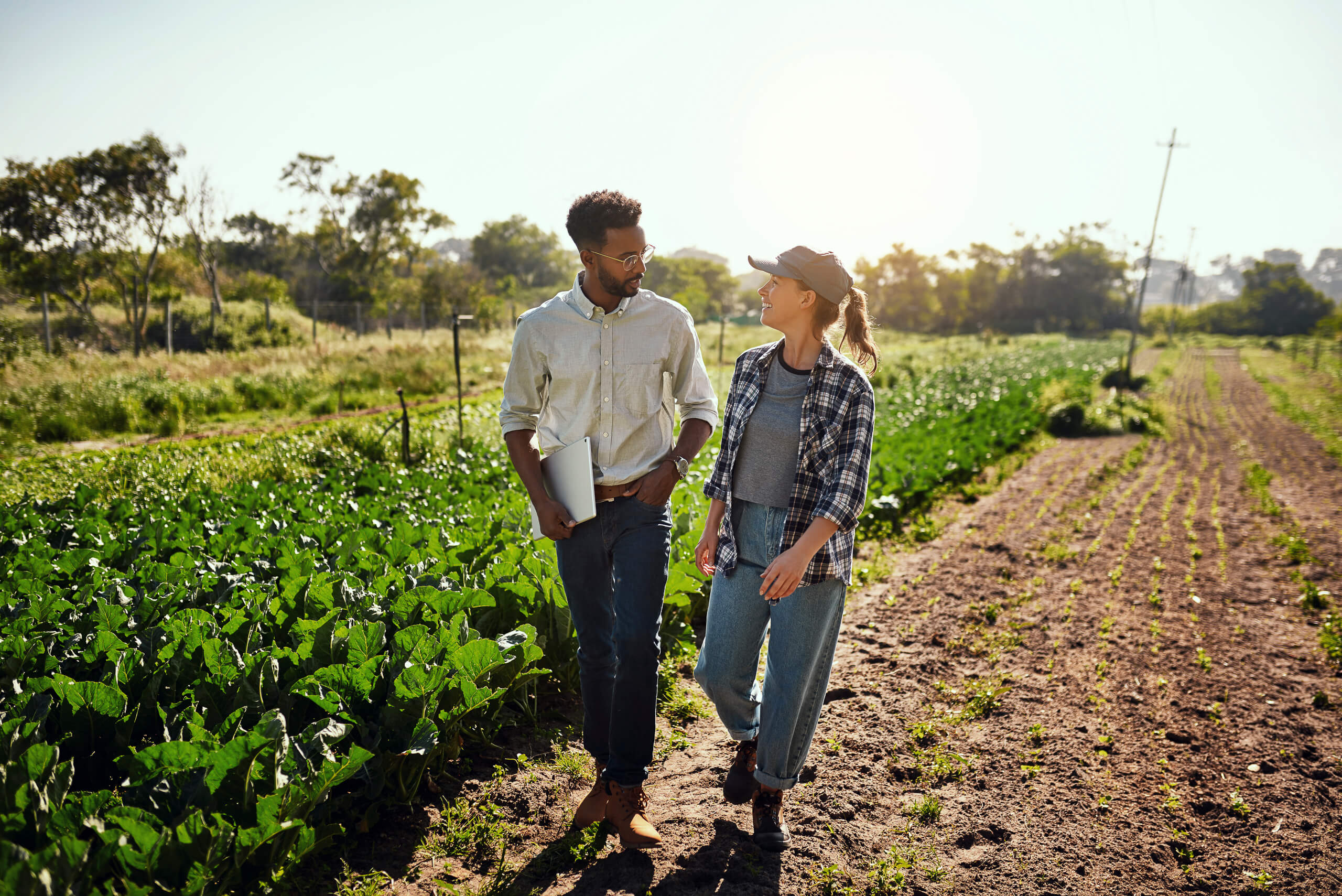 Two agricultural professionals walking through a field discussing sustainable farming practices.